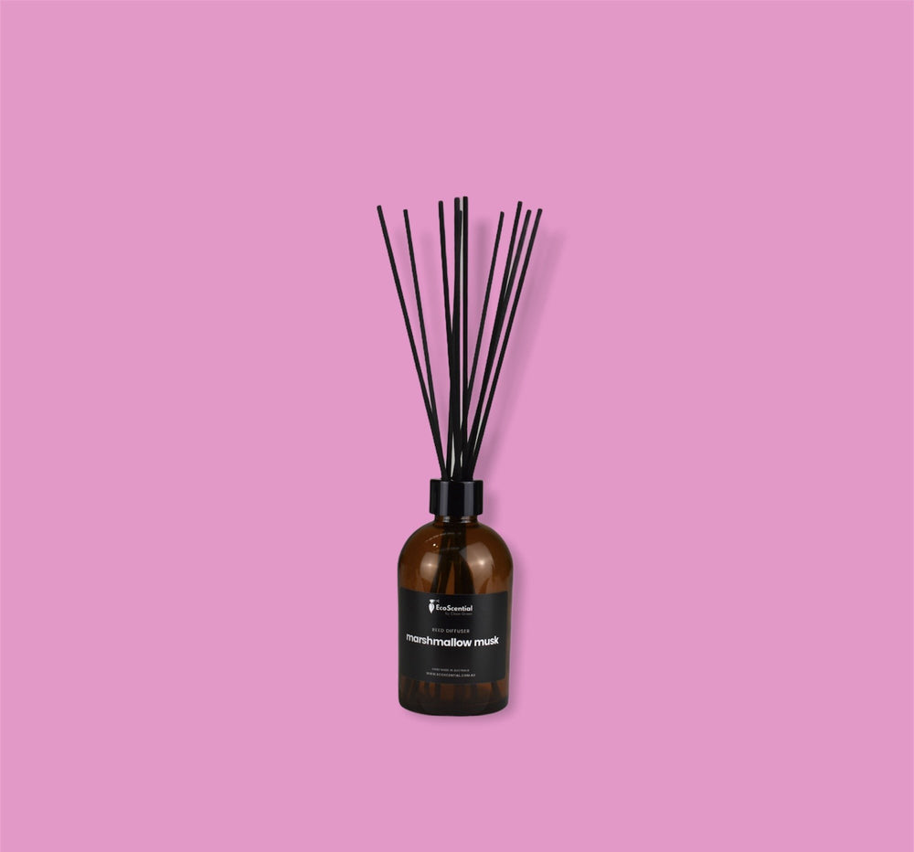 Amber Large Marshmallow Musk Reed Diffuser Ecoscential 